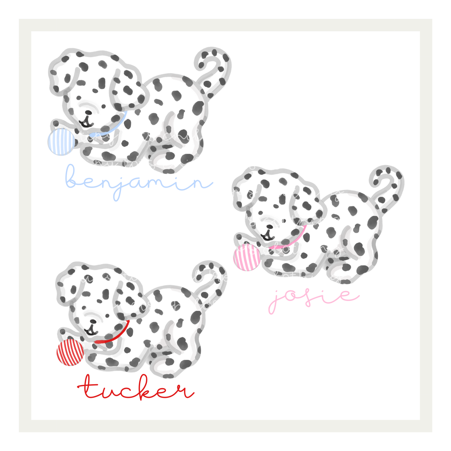 Dalmation Fun