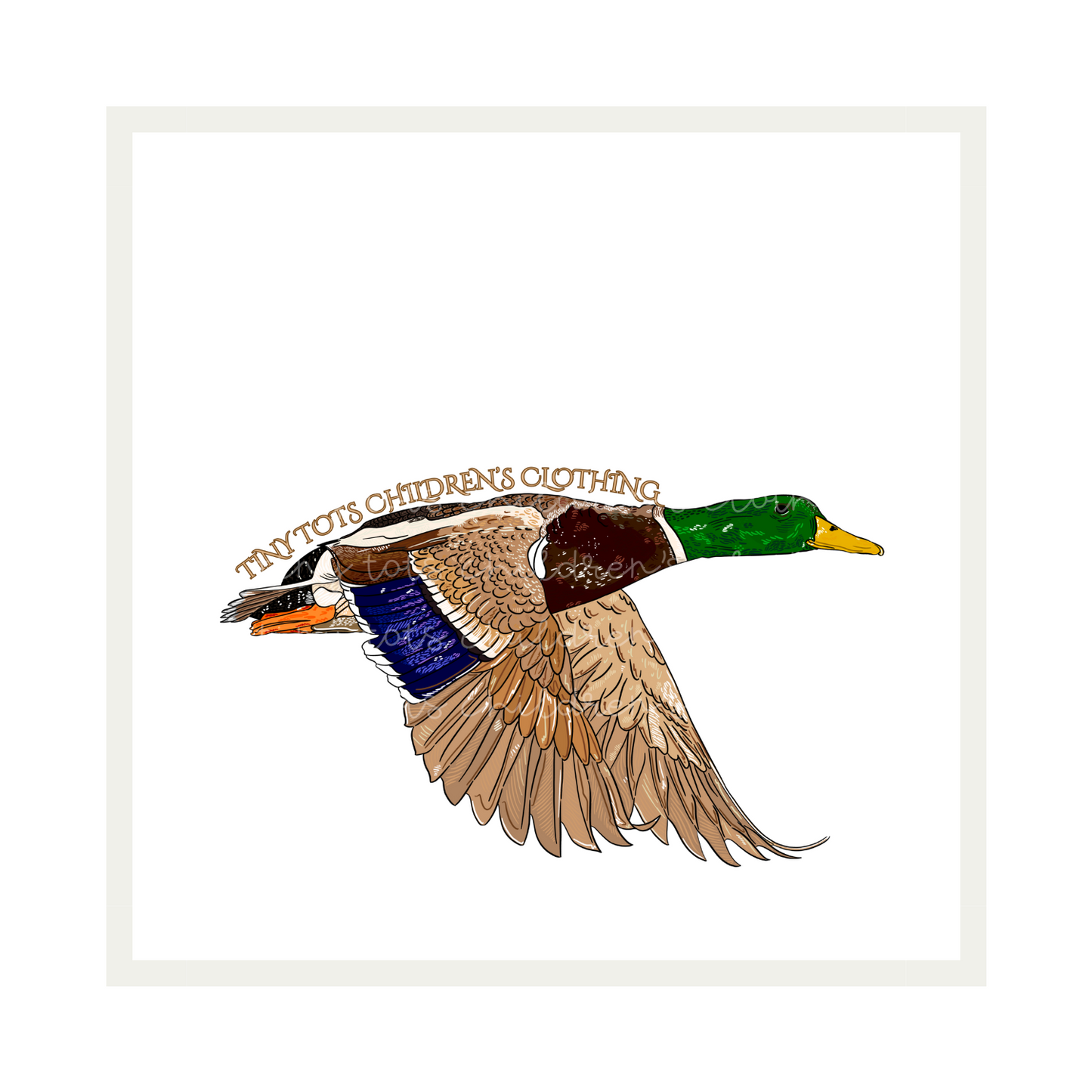 TTCC Mallard Flying