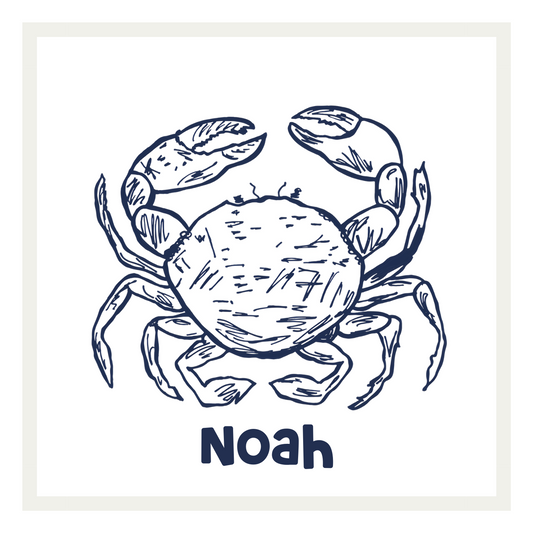 Crab Sketch