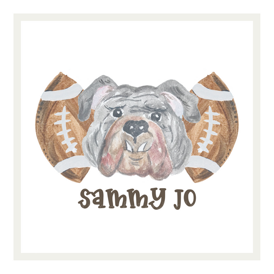 Georgia - mascot and footballs