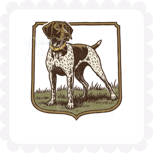 Pointer in Frame