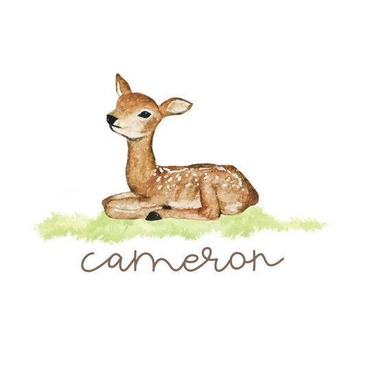 Baby Deer