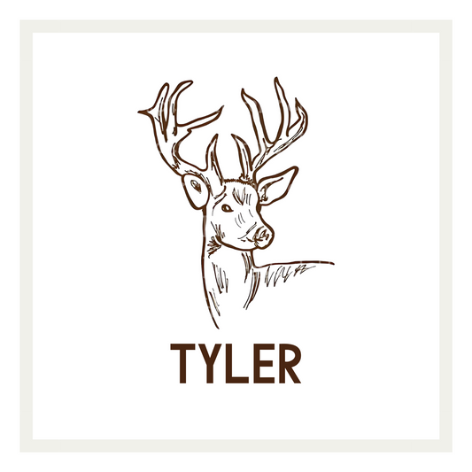 Deer Sketch