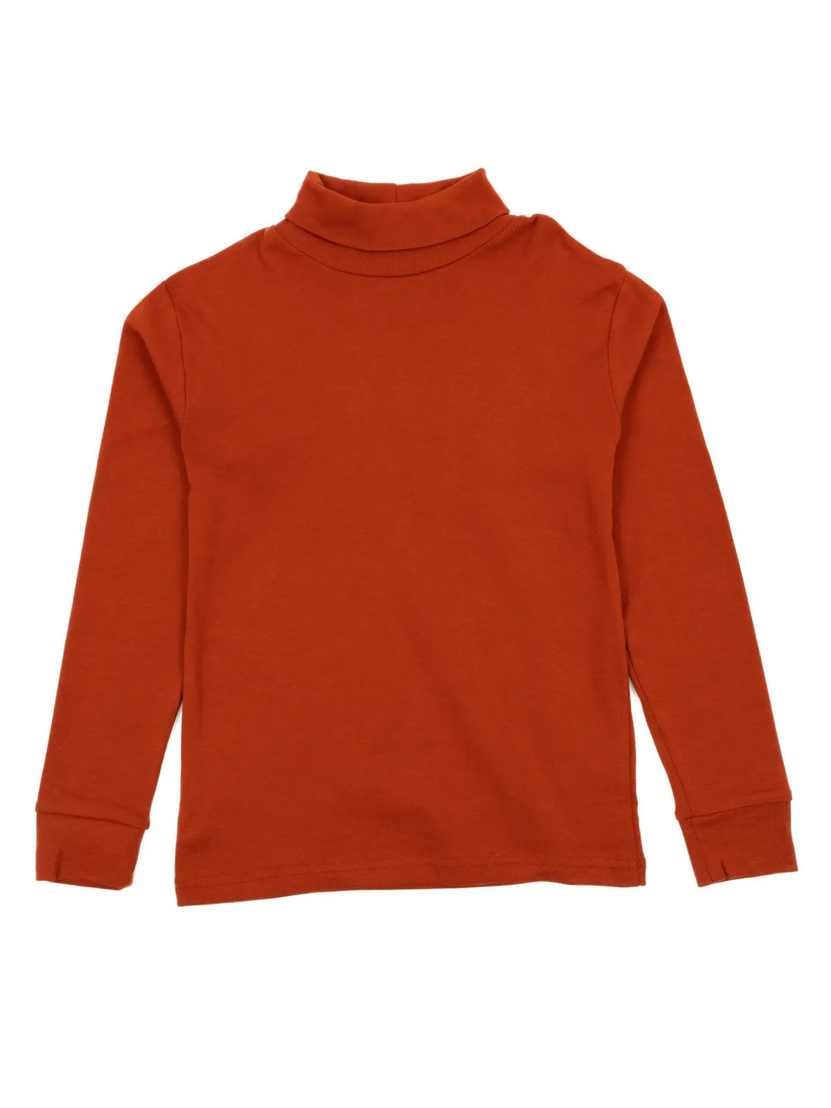 Solid Color Turtlenecks